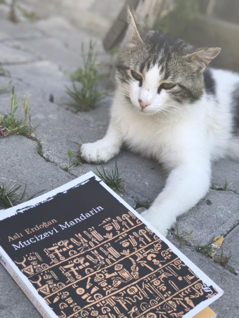 Отель Vegke Kutuk Evleri Seben Экстерьер фото